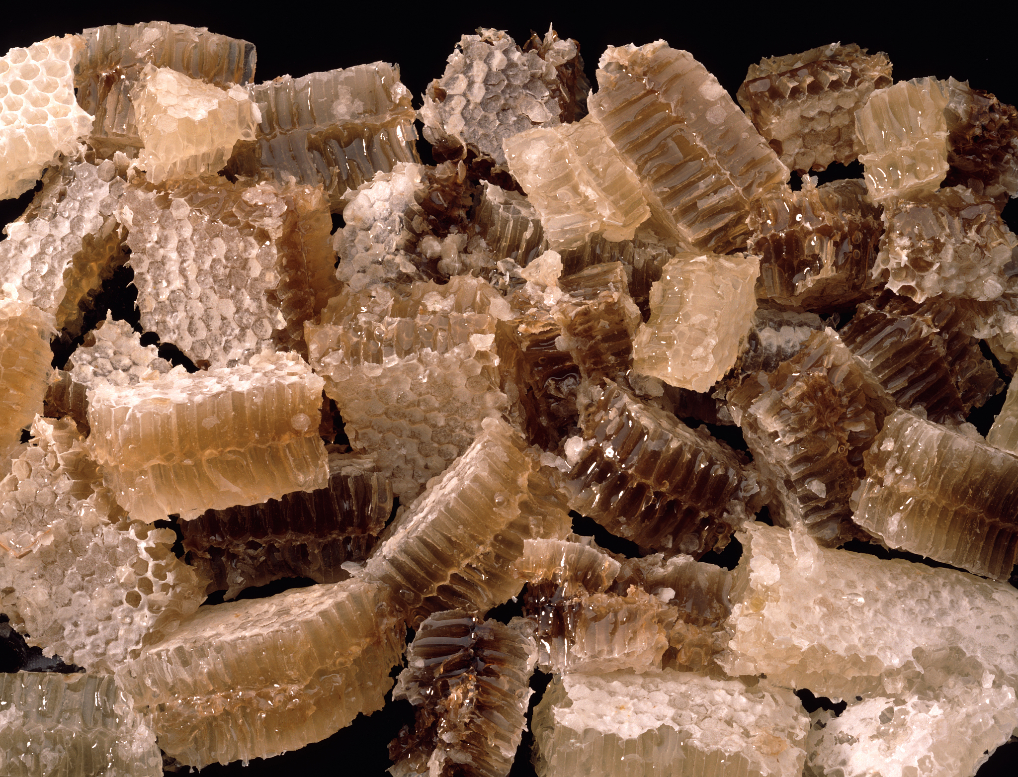 honeycomb