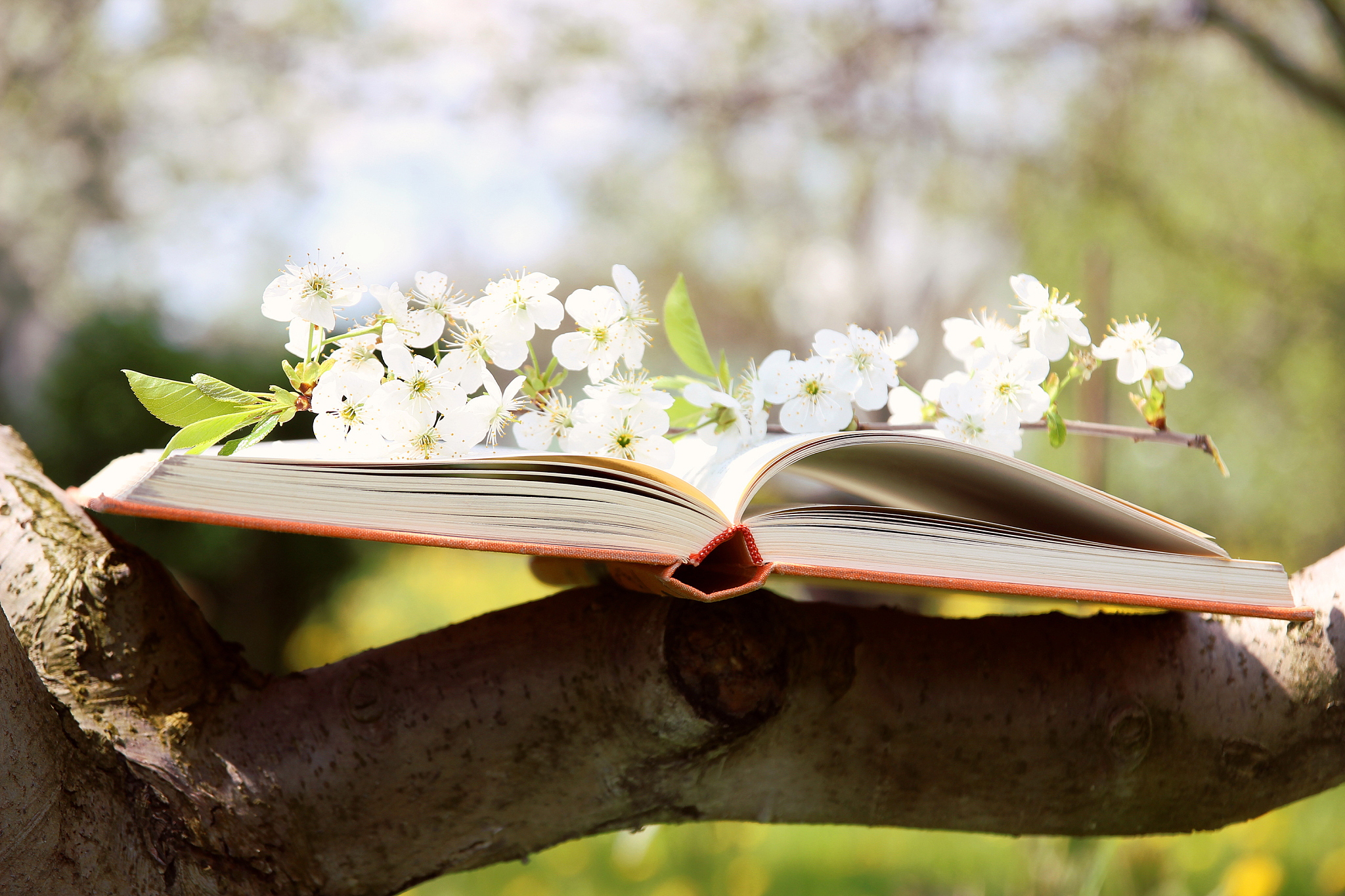 午后阳光暖，书香伴学勤：用古诗形容午后阳光与学习的人