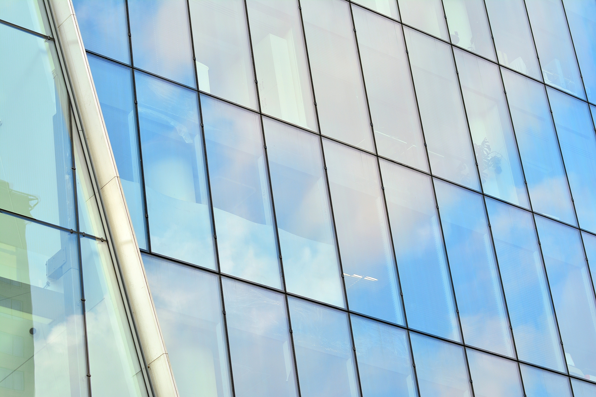 modern office building. glass walls of a office building - busin