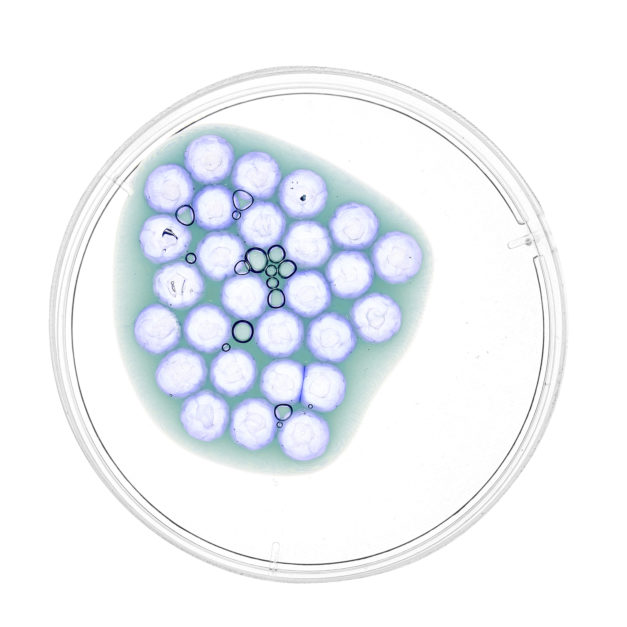 专升本医学考什么