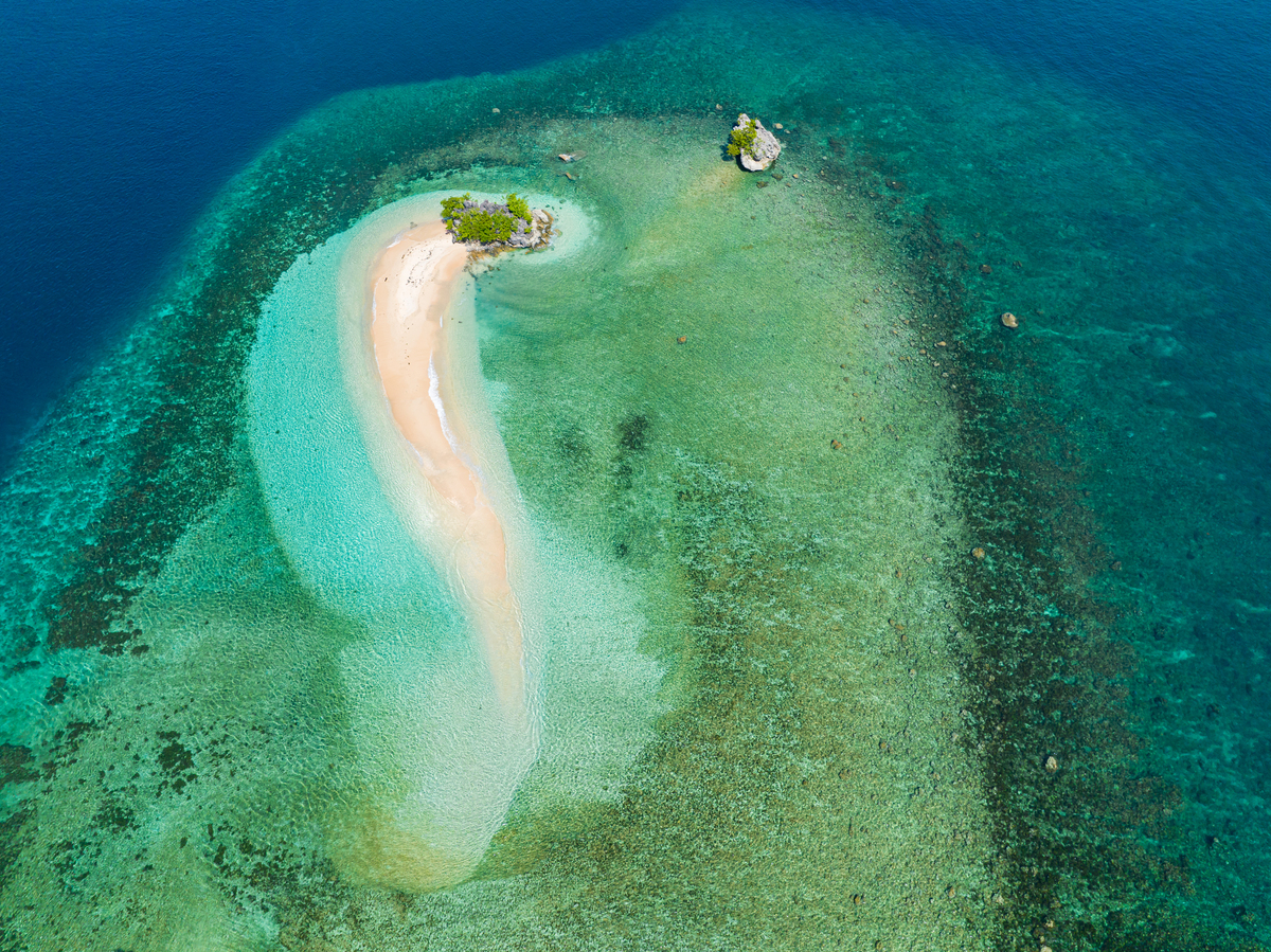 夏威夷最佳潜水地点推荐 | 探索迷人海底世界