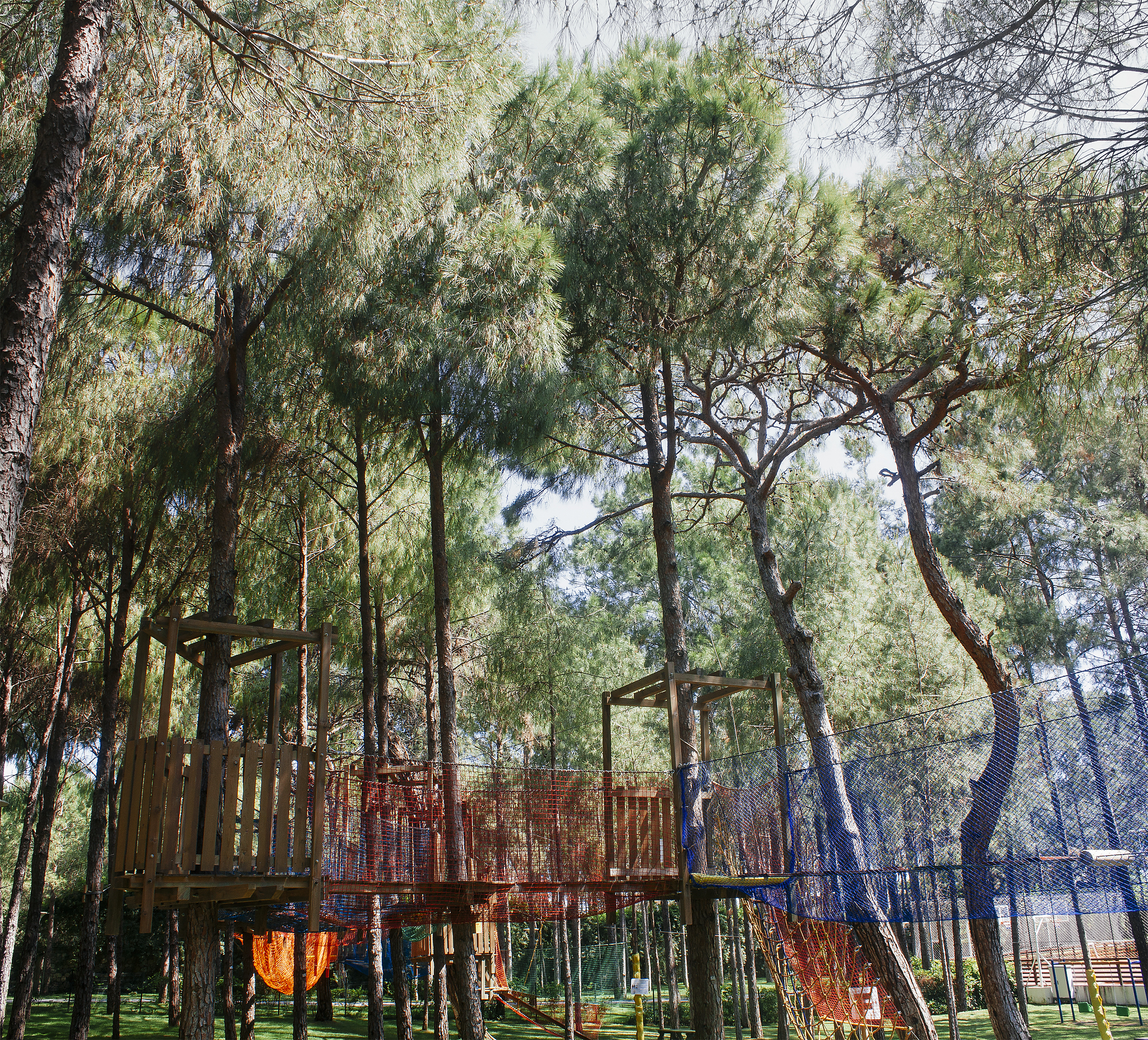 贵州省旅游学校就业保障：优势与前景