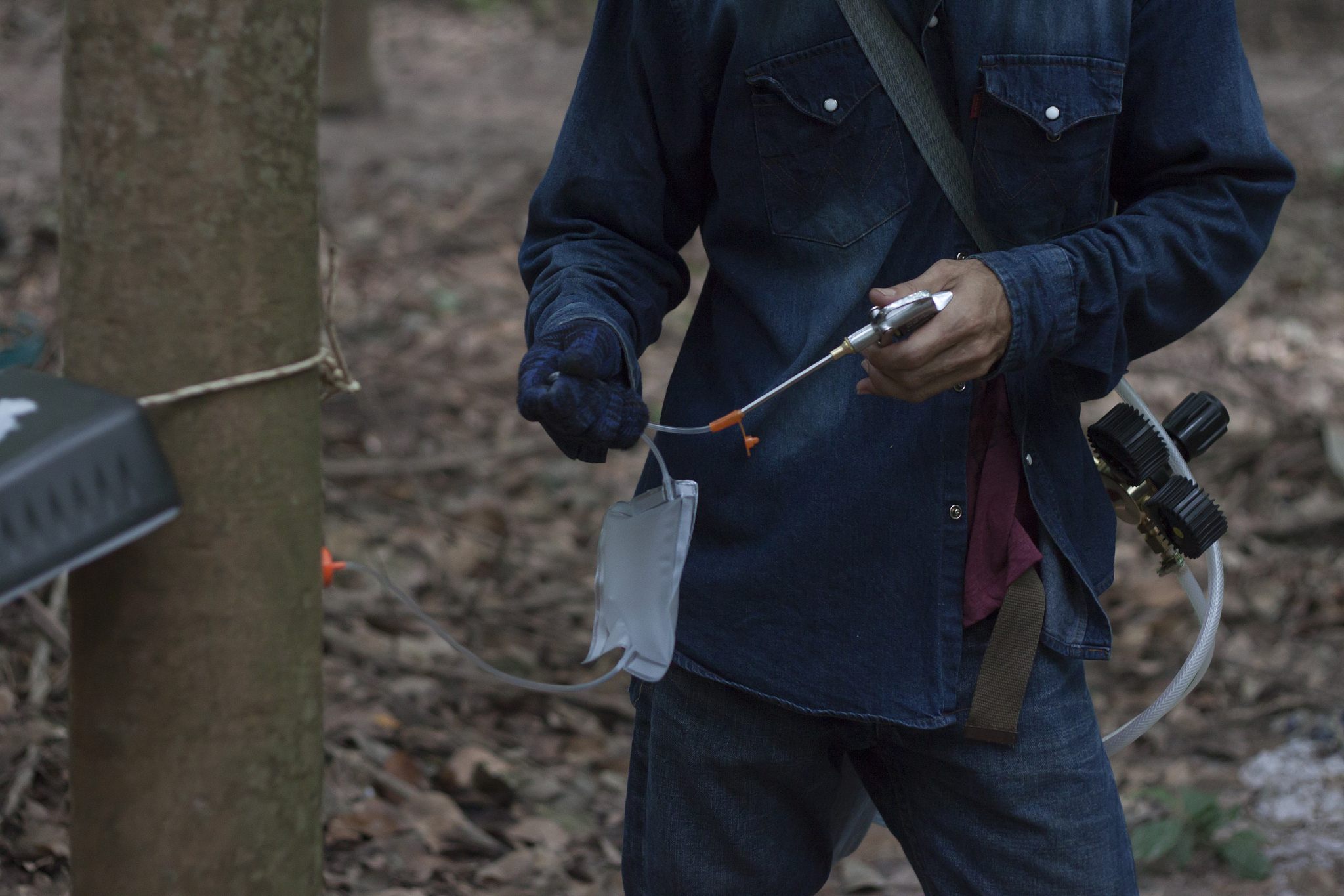 PLANT PRODUCTION SCIENCE: 推动可持续农业发展的国际期刊