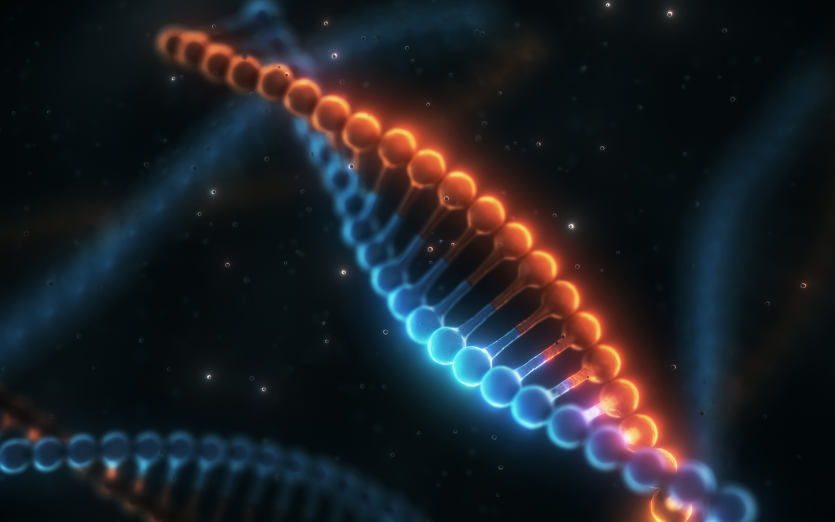 请你题目为人类基因组计划及其可能对我们产生的影响的读书报告请你帮我写一下6 总结- 总结人类基因组计划的意义和影响- 提出对人类基因组计划未来的展望和期望字数不低于300字