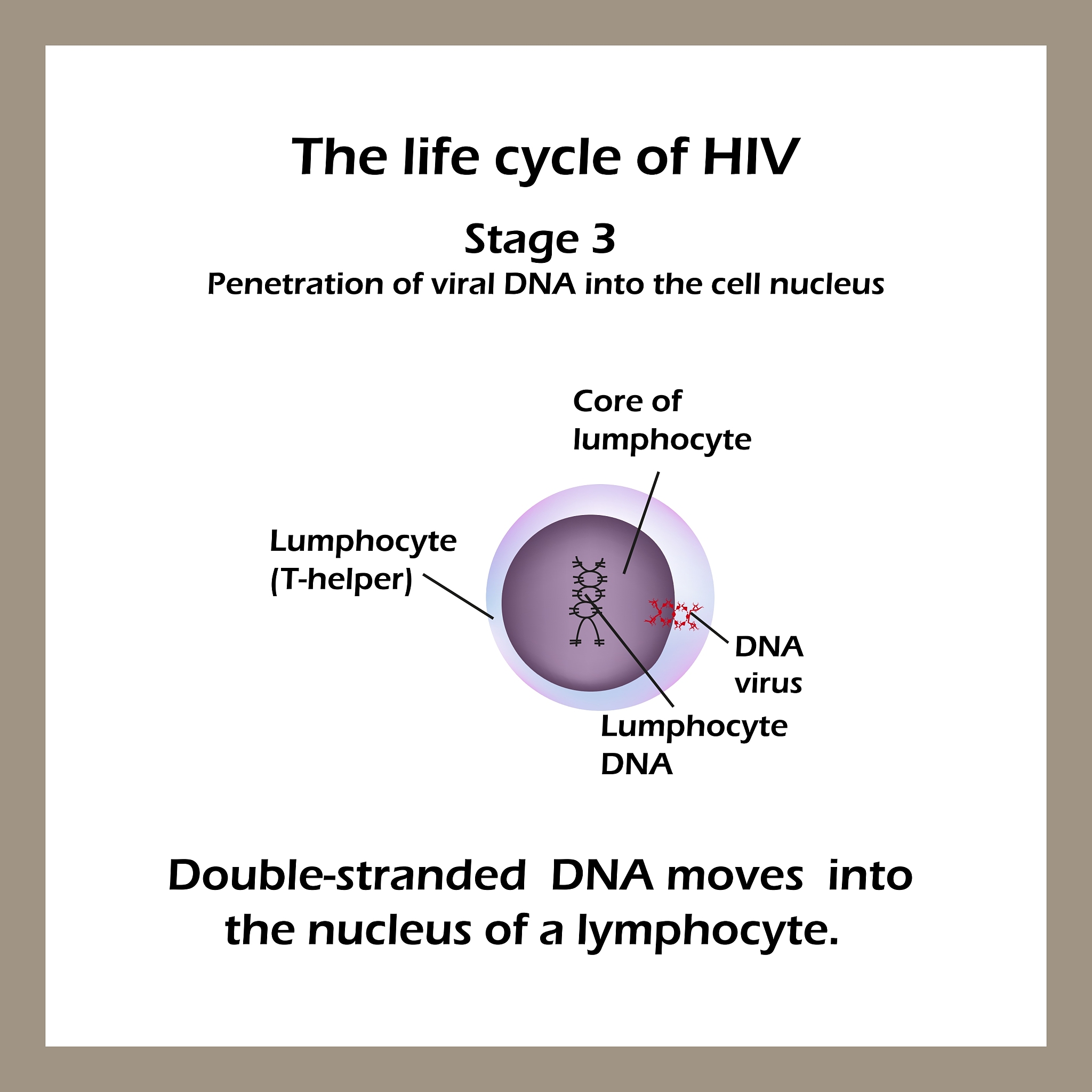 RISK ANALYSIS 期刊主编是谁？