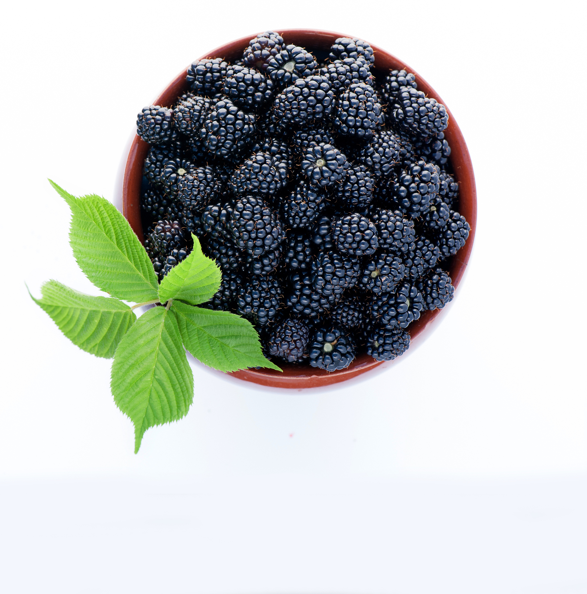 blackberries in a clay jug