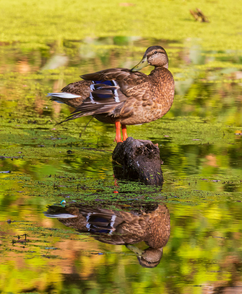 云南临沧临翔区初中生学高铁学校要读几年-好不好