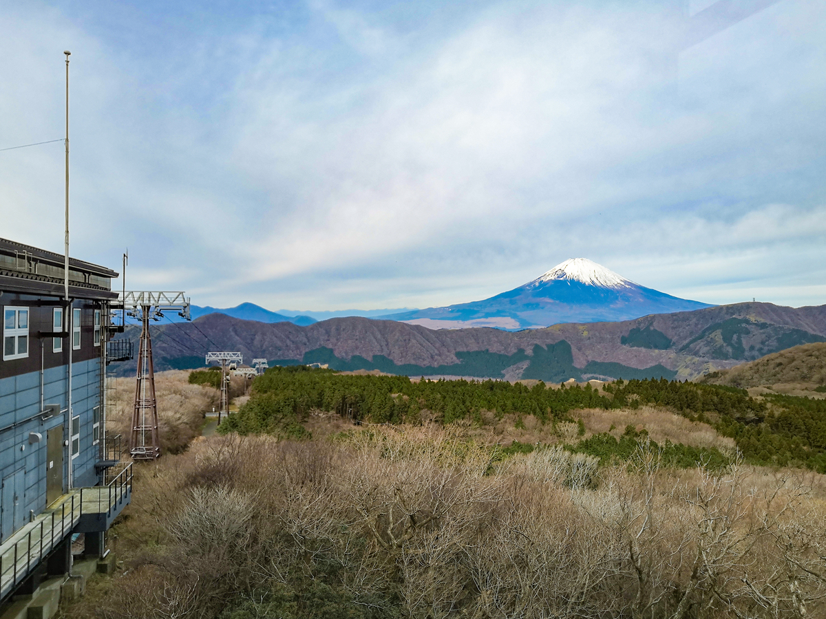 Why Japan is My Favorite Travel Destination | A Must-Visit Country