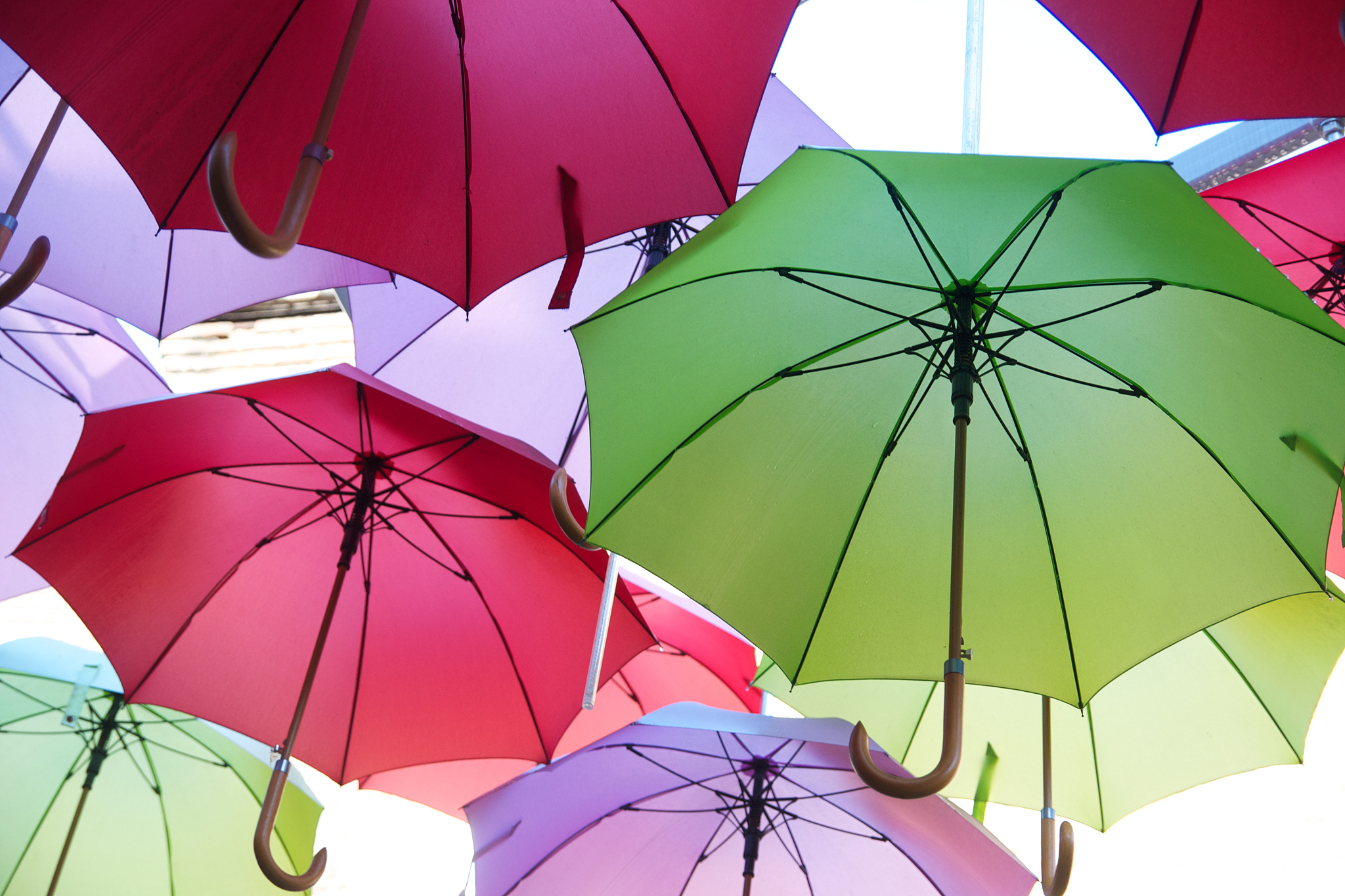 colorful umbrellas suspended in the air