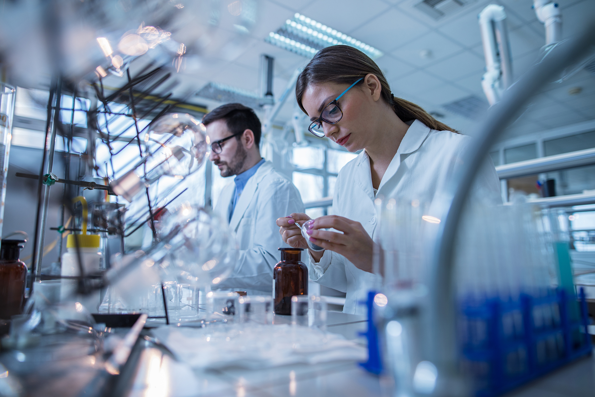 延边大学动物医学专业招生人数及要求 - 2023最新信息