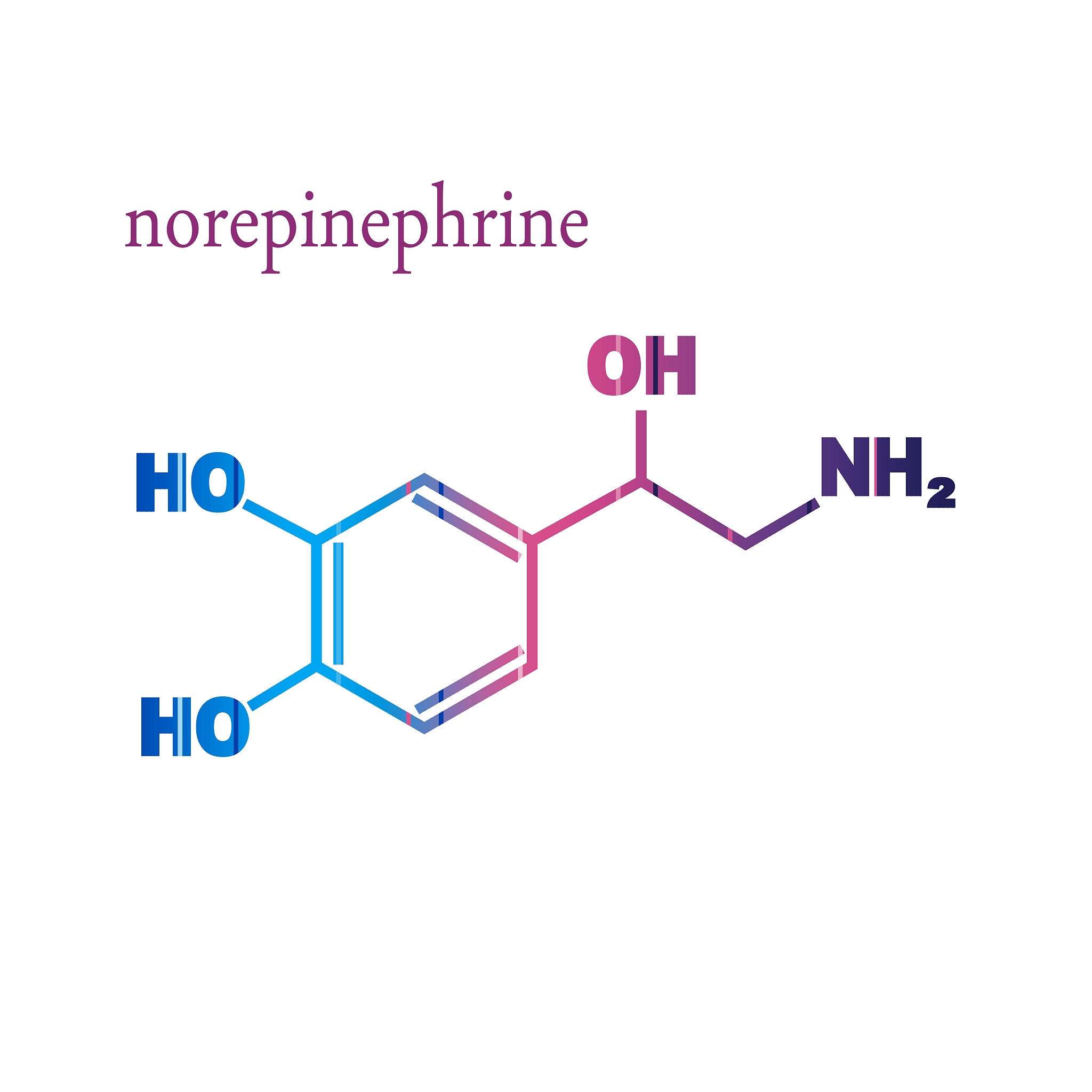 高中生物常见代谢类型详解：氧化还原、核苷酸、氨基酸等