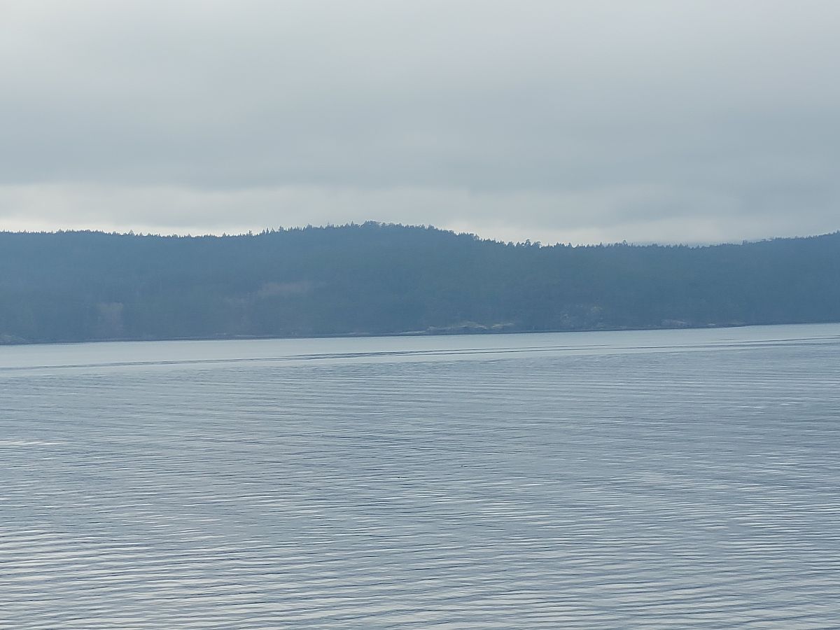 常见初中物理实验方法有哪些