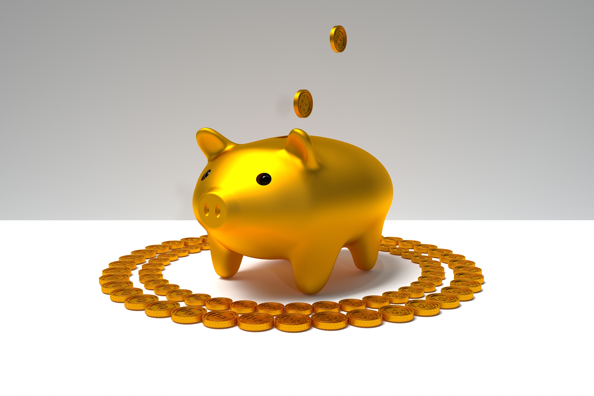 金猪