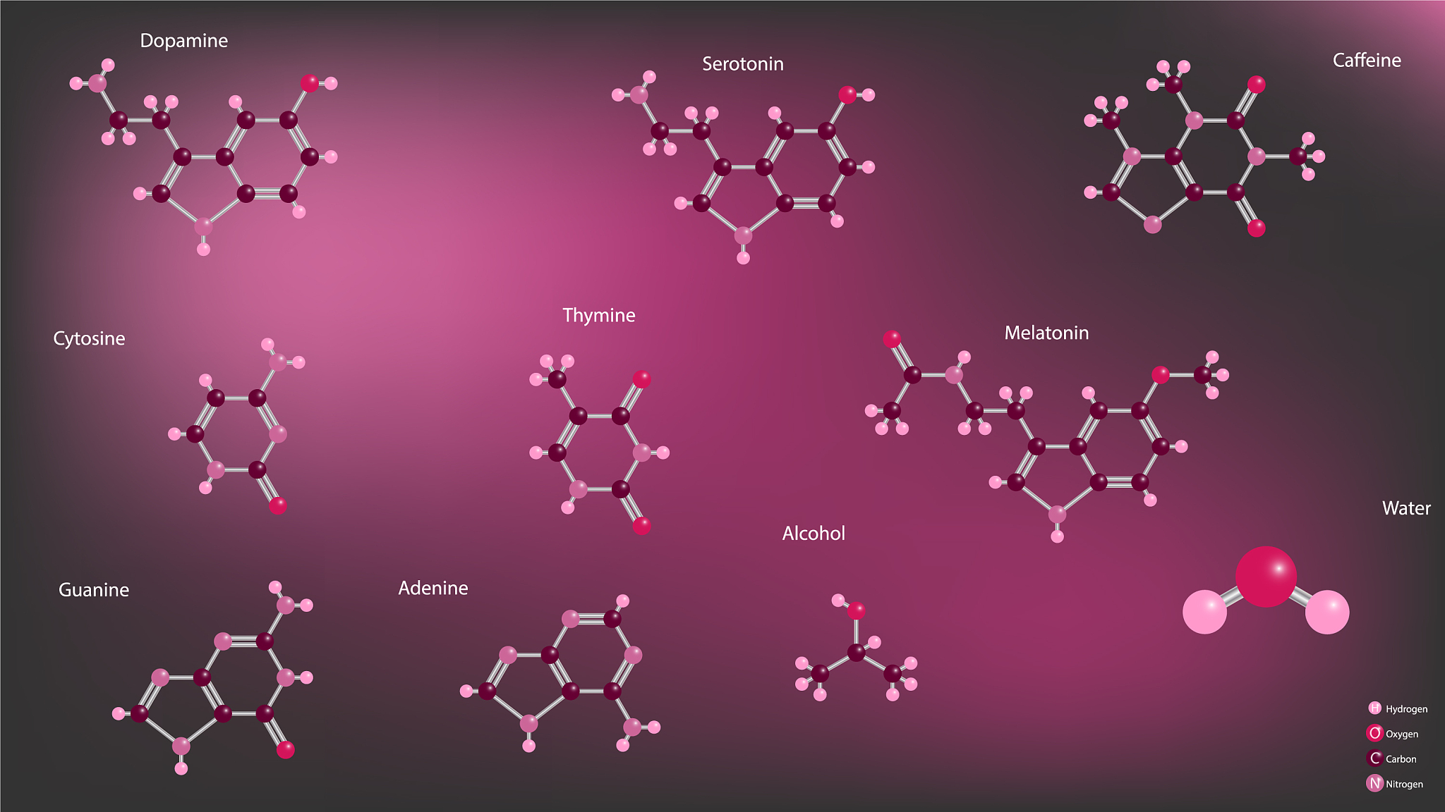 嘌呤碱和嘧啶碱的紫外吸收特性：共轭体系、电子跃迁和分子结构的影响