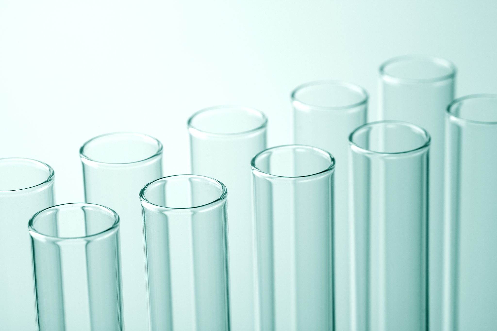 PCR 反应必备材料：原理与应用