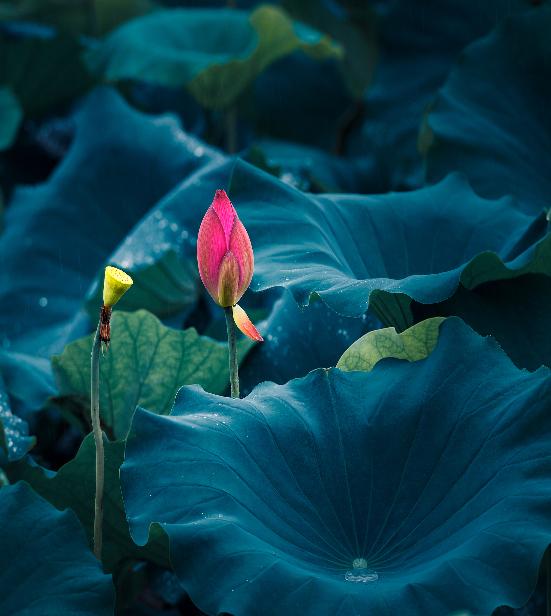 武汉东湖学院专业设置详解：文、管、工、艺等专业介绍