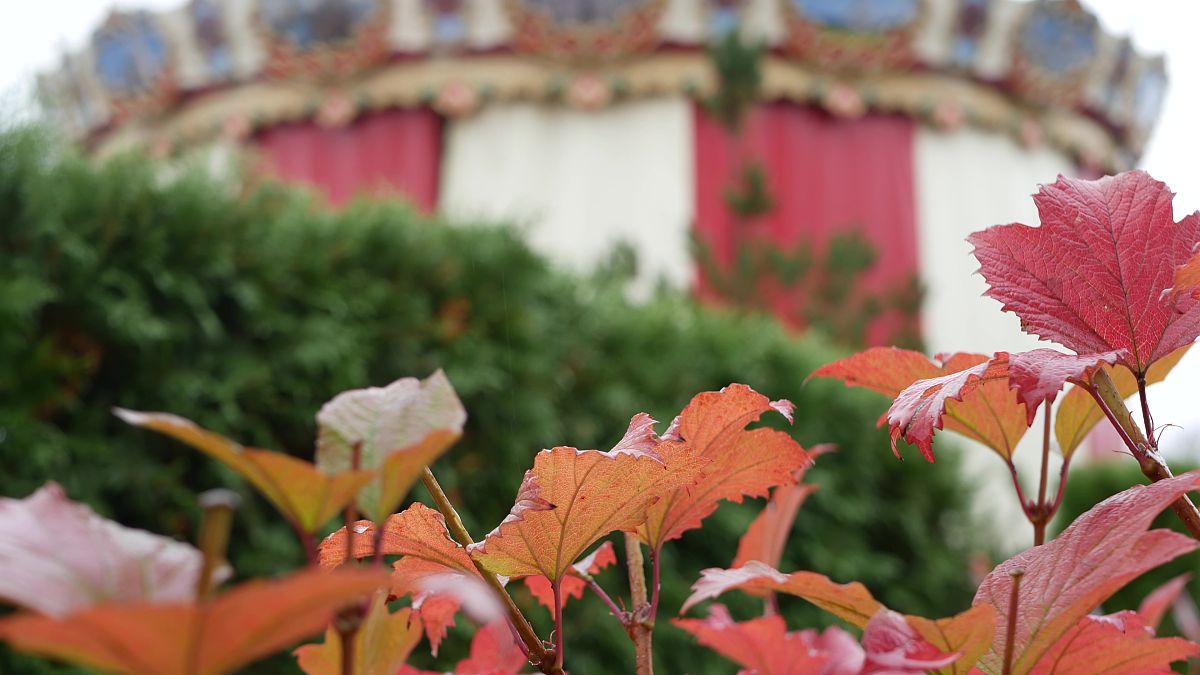 老式消费为何受年轻人追捧？| 情感、个性、品质、社交背后的秘密