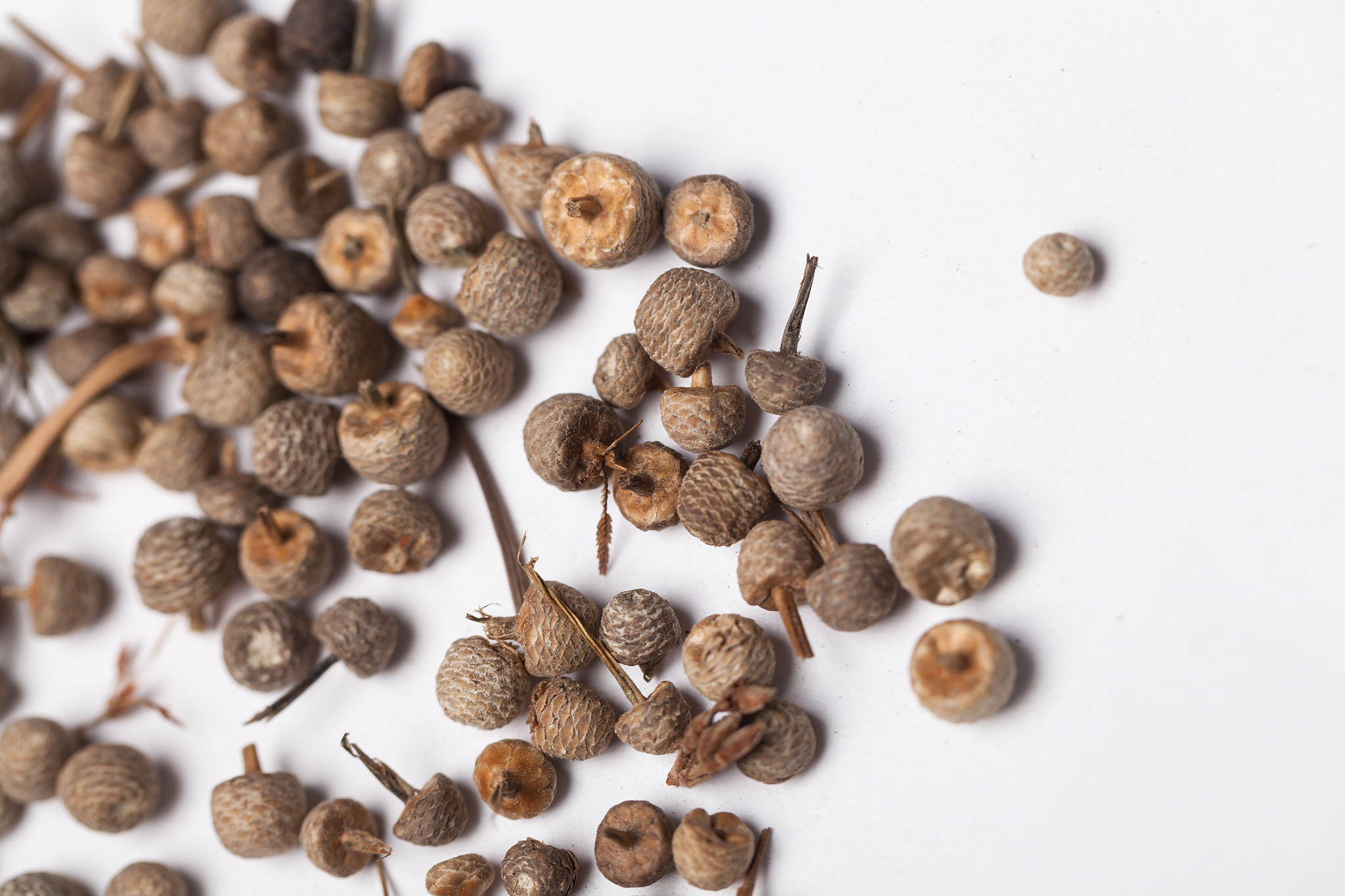 湖北中医药高等专科学校怎么样？好不好？ - 中医药专业发展前景广阔