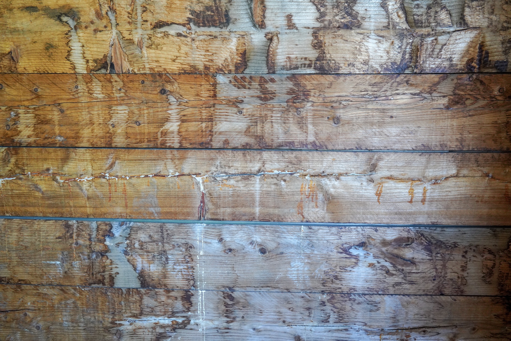 重庆职业学校木材加工技术专业：优势与未来发展