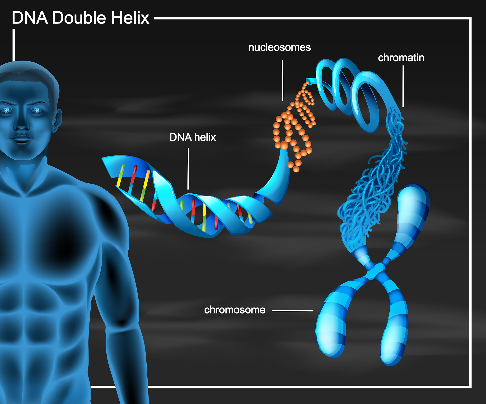 DNA Image Decoding Algorithm: Python Implementation