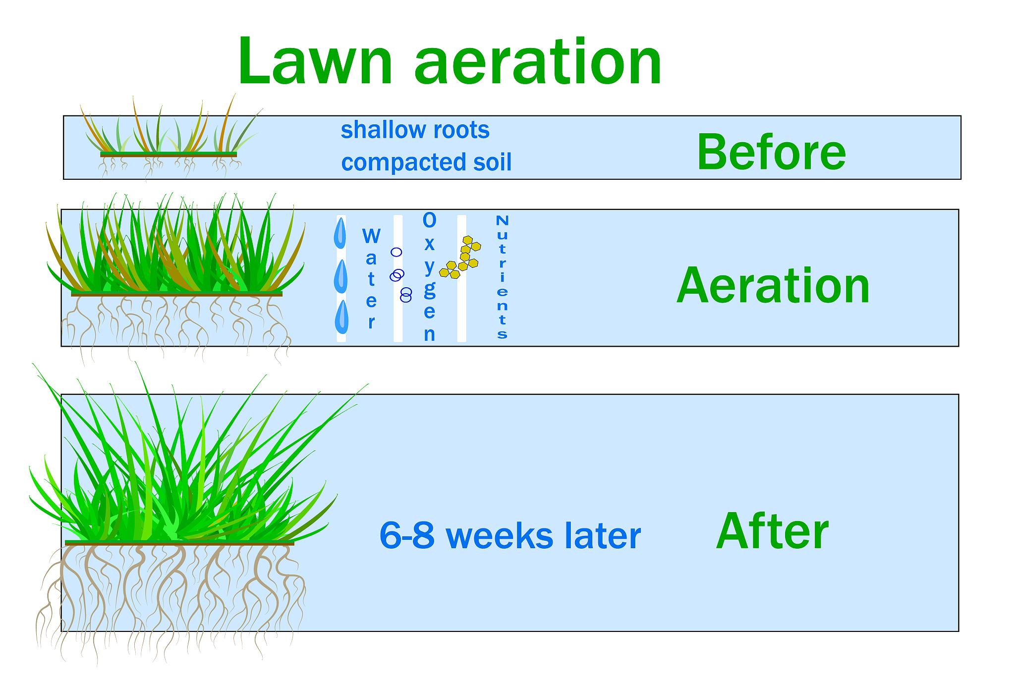 请按照nature发表期刊润色这段话：According to measuring the water content of different soil layers the amount of irrigation volume was calculated and the water meter was used for quantitative water replenishment