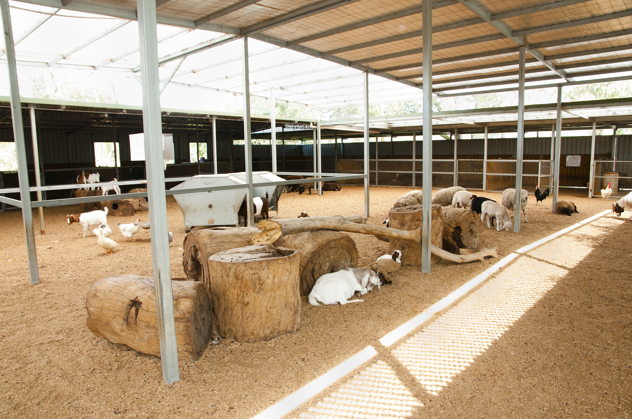 广西玉林畜牧兽医学校特种动物养殖专业就业前途大不大