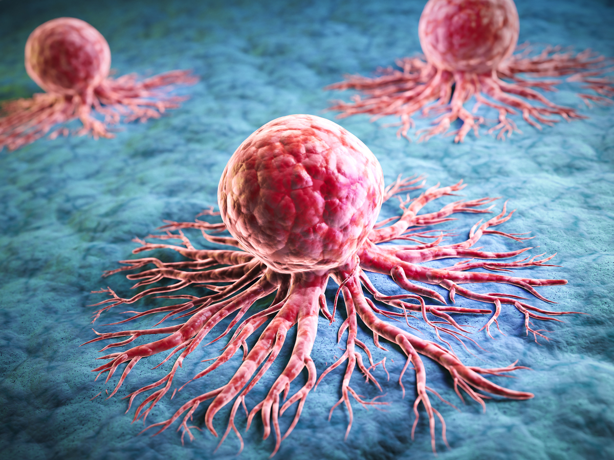 在宫颈癌细胞中发挥的生物学功能。进行同义改写