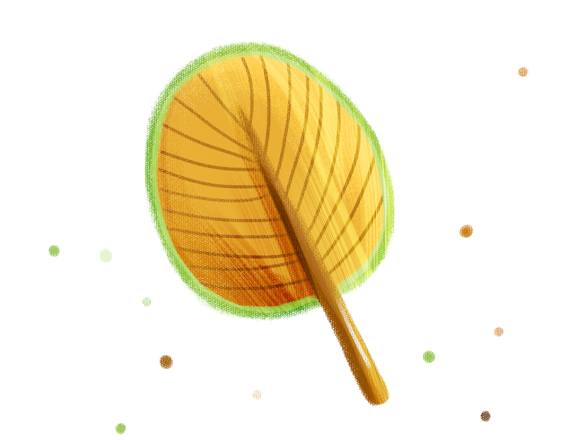 这把蒲扇，是外婆给我们午休扇风用的，从我小时候就用，一直用到了我女儿出世，这是外婆爱的传承。
改成文艺的说法