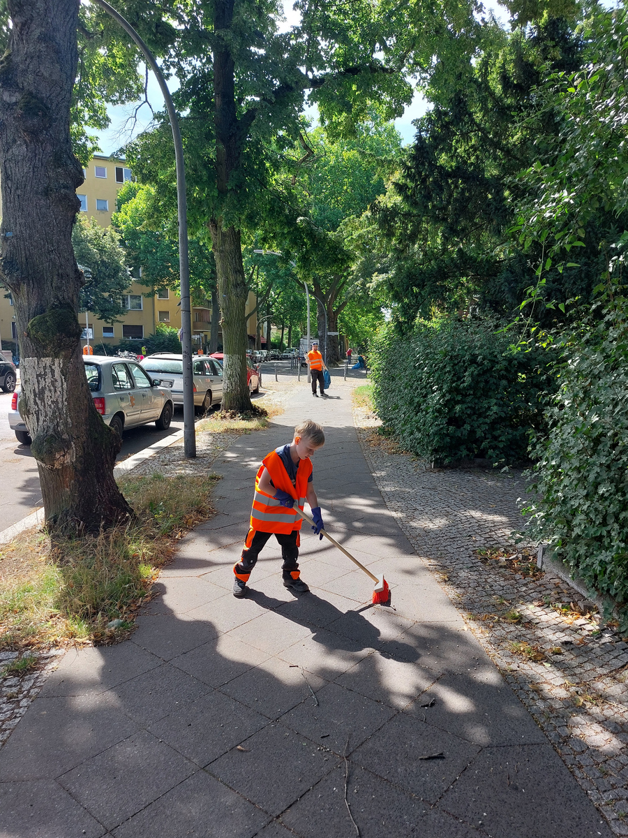 绿色行动：我与环境社会服务活动的心路历程