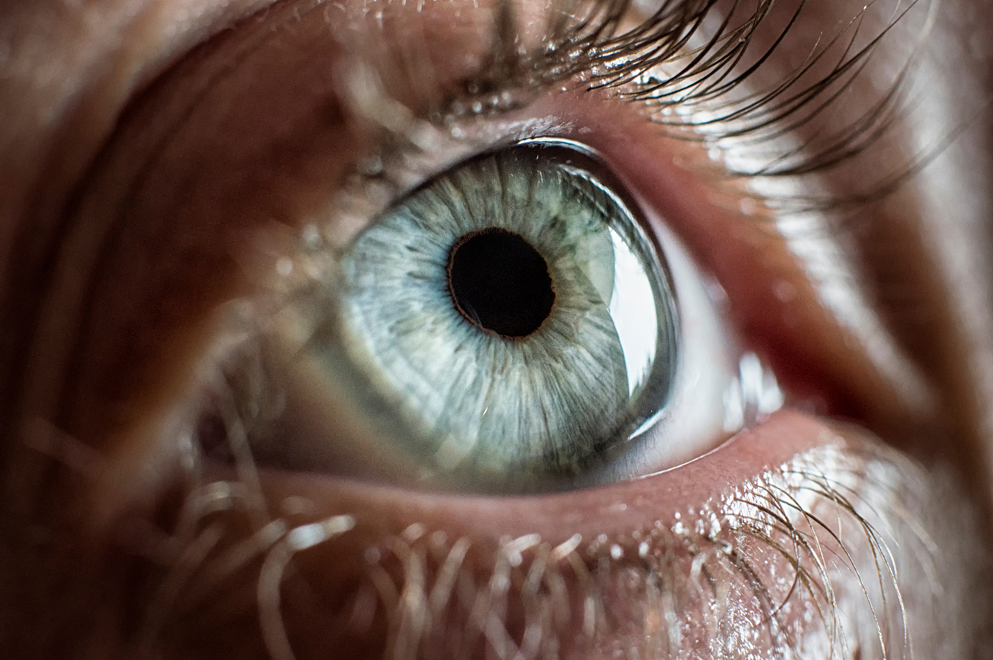 close-up of human eye