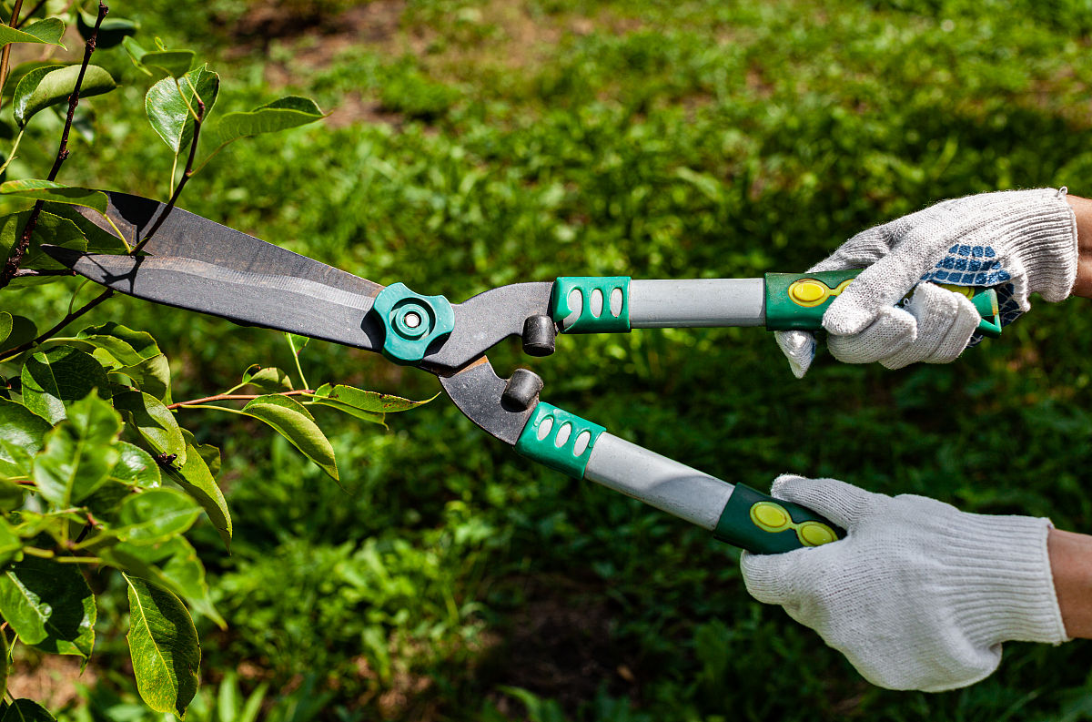 园艺师傅使用如图3所示的剪刀修剪树枝时常把树枝尽量往剪刀轴O靠近这样做的目的是为了