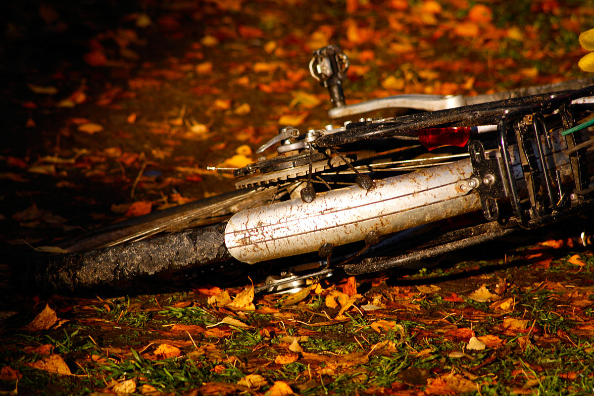 C++计算自行车行驶距离：根据轮子转动圈数和直径