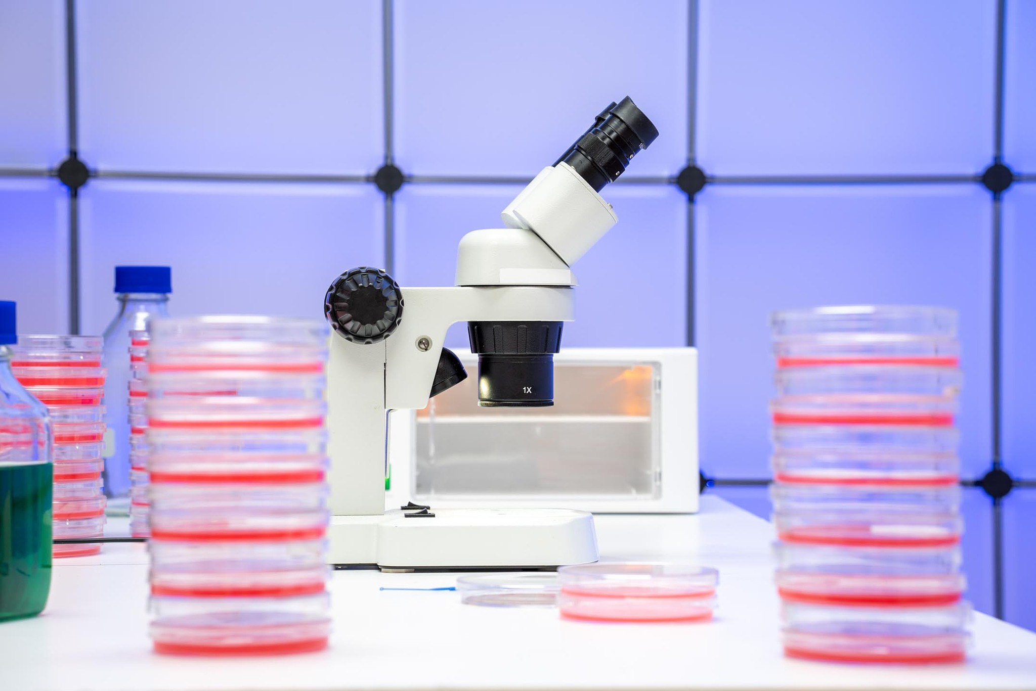 广州卫生学校2023年招生简章 - 培养高素质医学人才