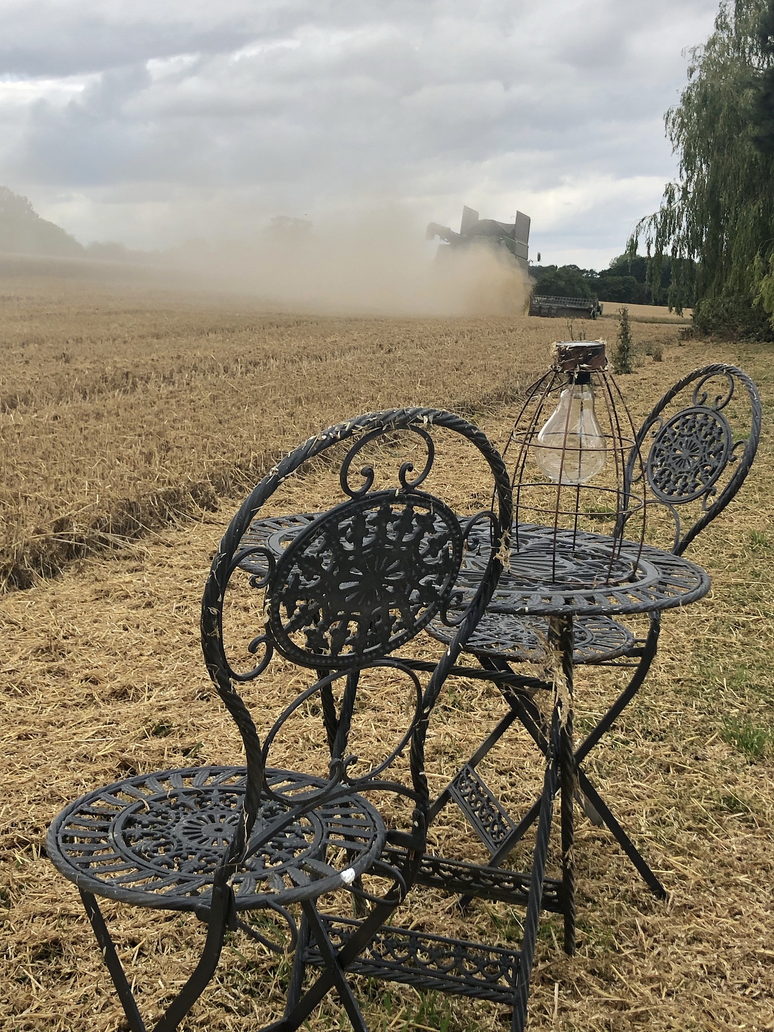 可持续农业：从历史汲取经验，打造未来氮管理策略