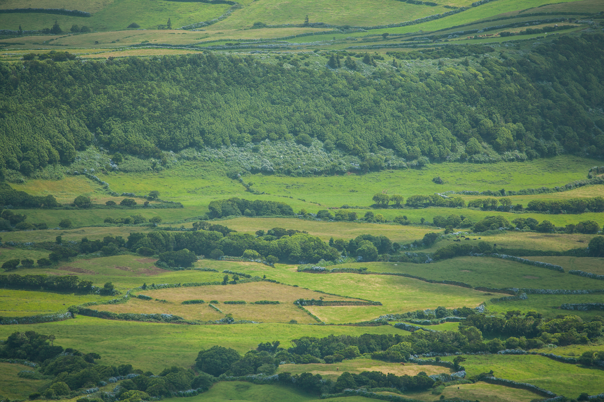 landscape on faial island