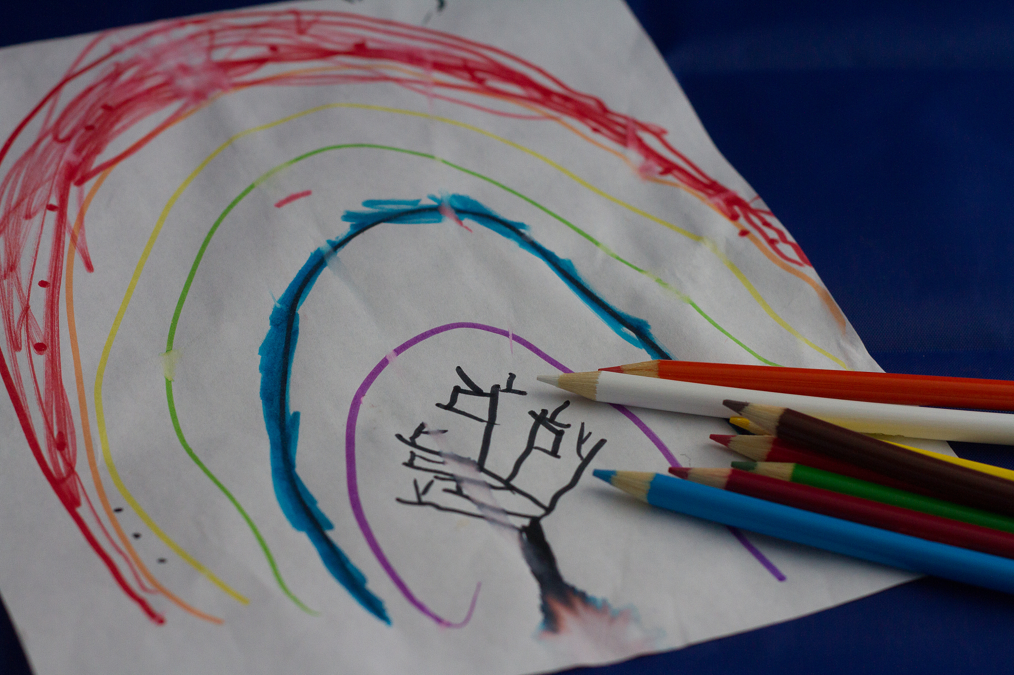 西安华乐艺术职业学校幼师专业怎么样？优势与劣势分析