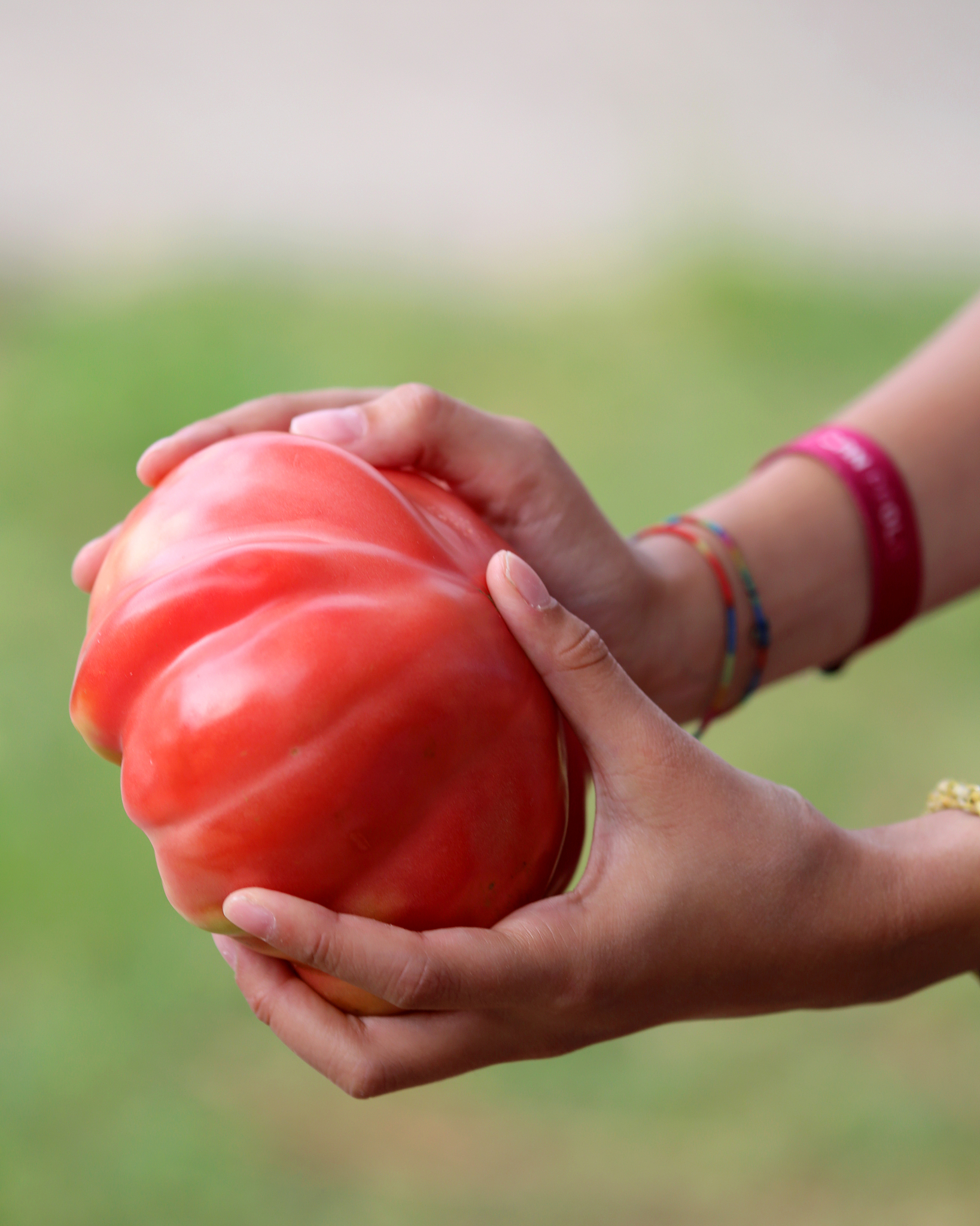 番茄女孩来袭！TikTok最新时尚潮流，打造悠闲田园风