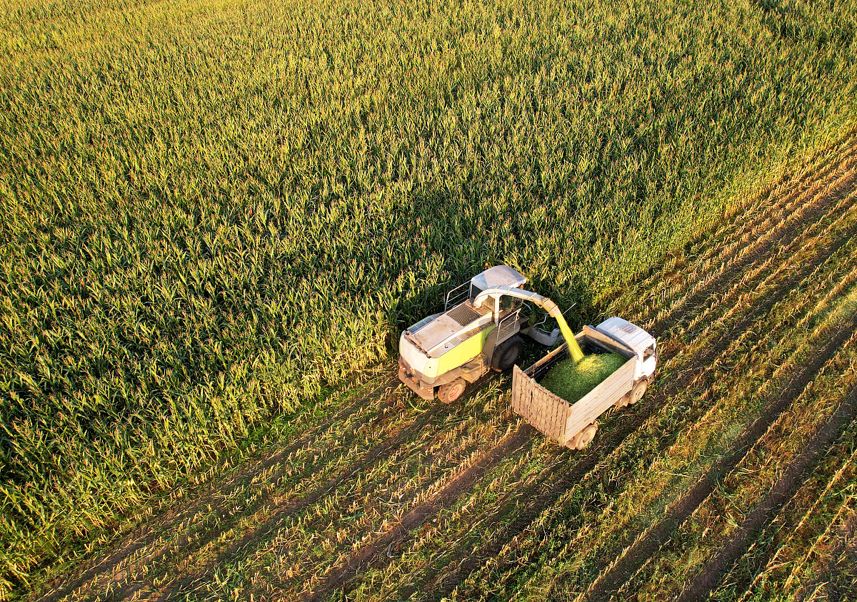 ie Random Forest attributed as RF按照field crops research期刊标准润色上面的句子内容。