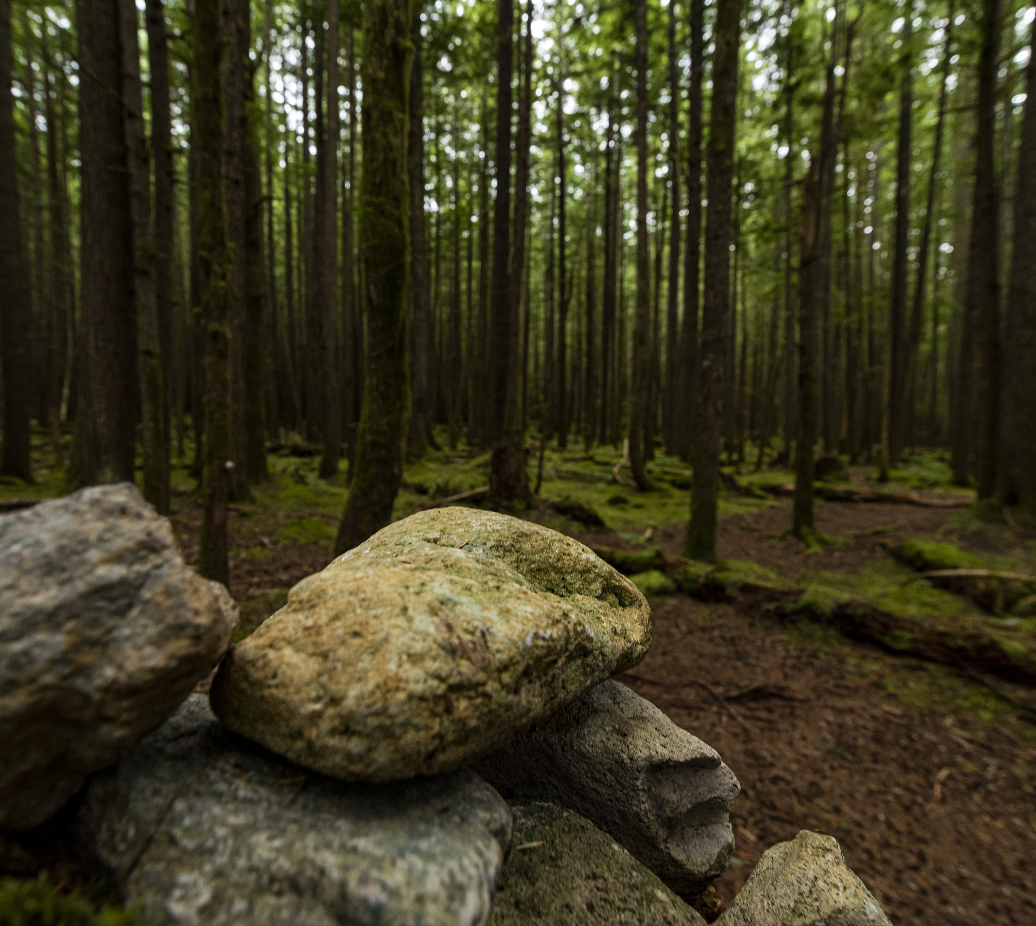 石别到北山需要几个小时回答+拓展