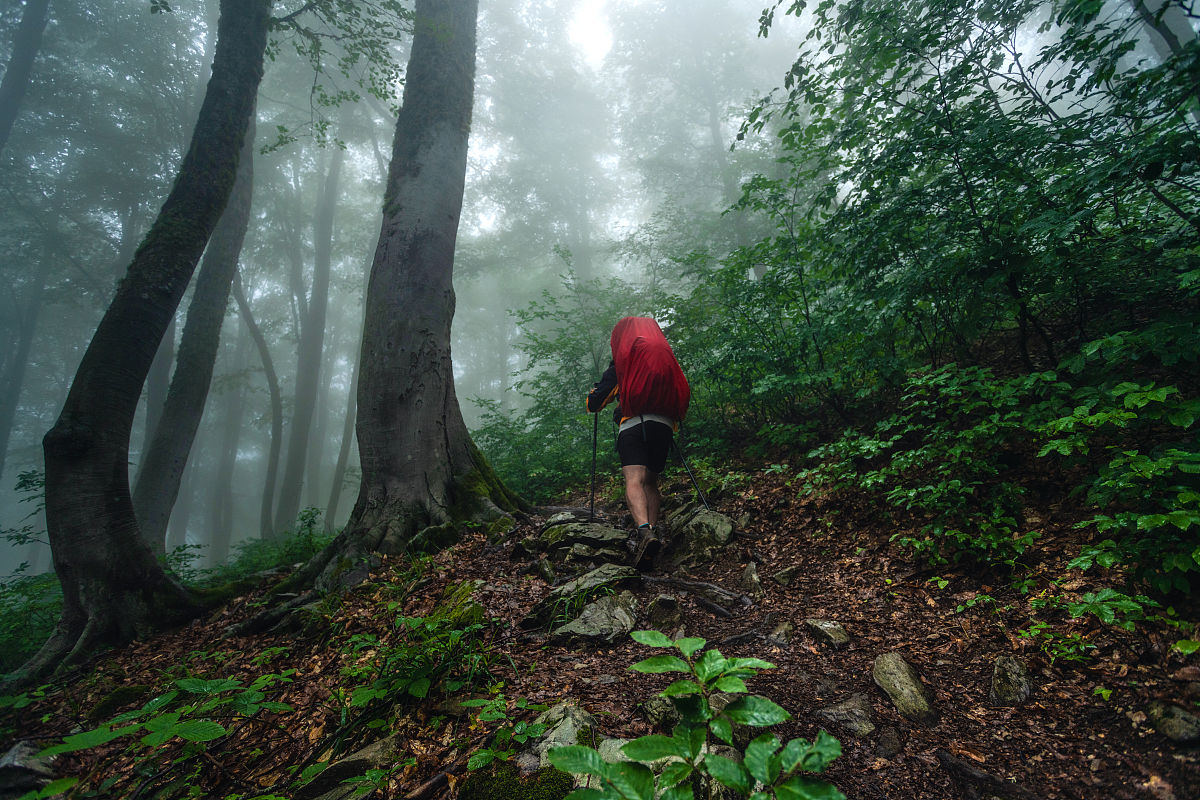 帮我写一个剧本