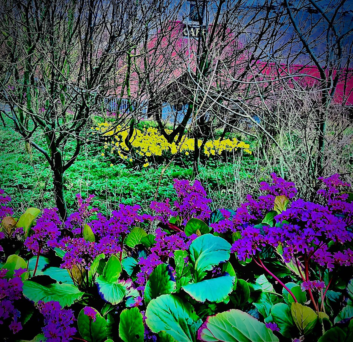 花红酒绿不夜天纸醉金迷荒无度是什么生肖