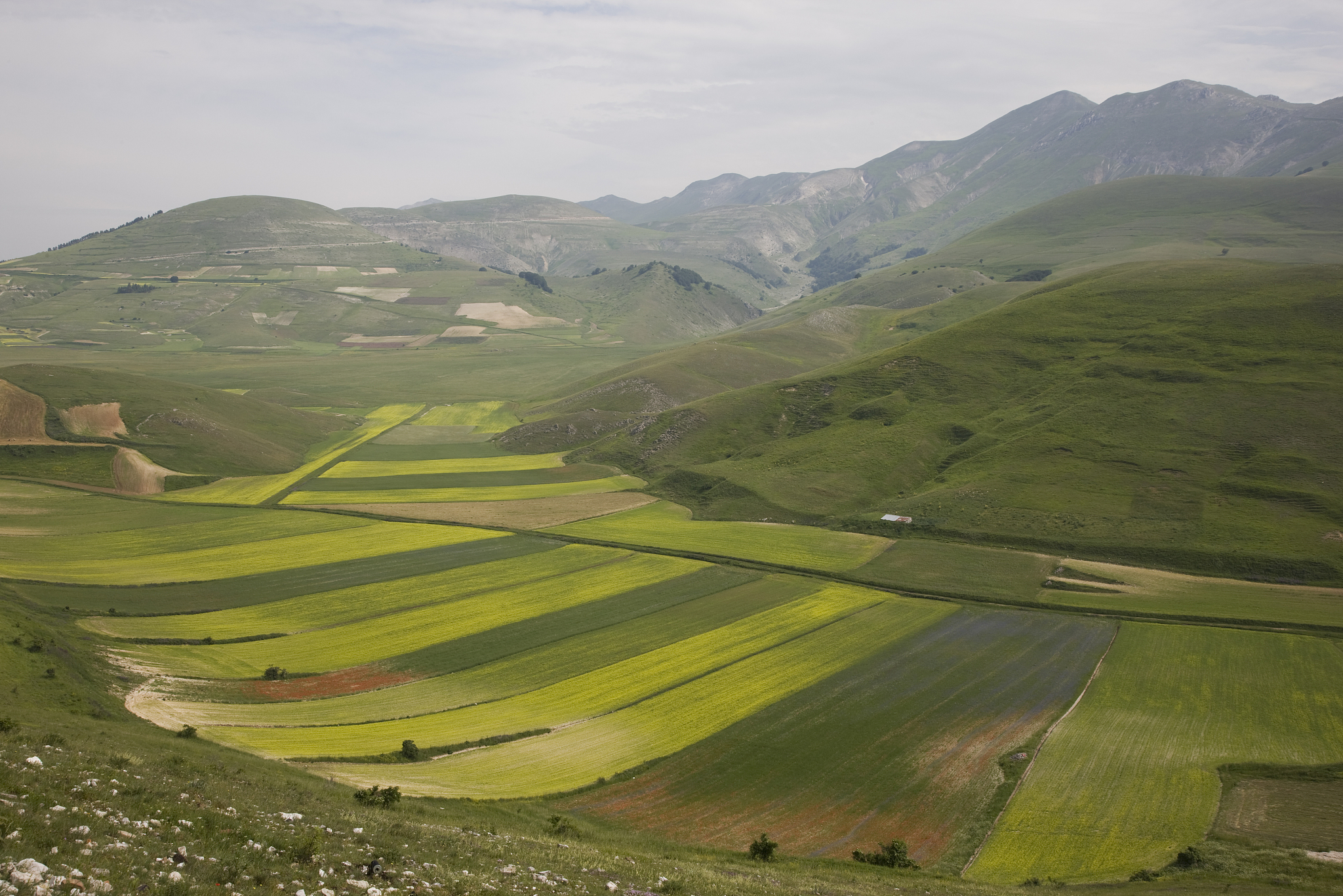 italy. umbria. castelluccio di norcia.