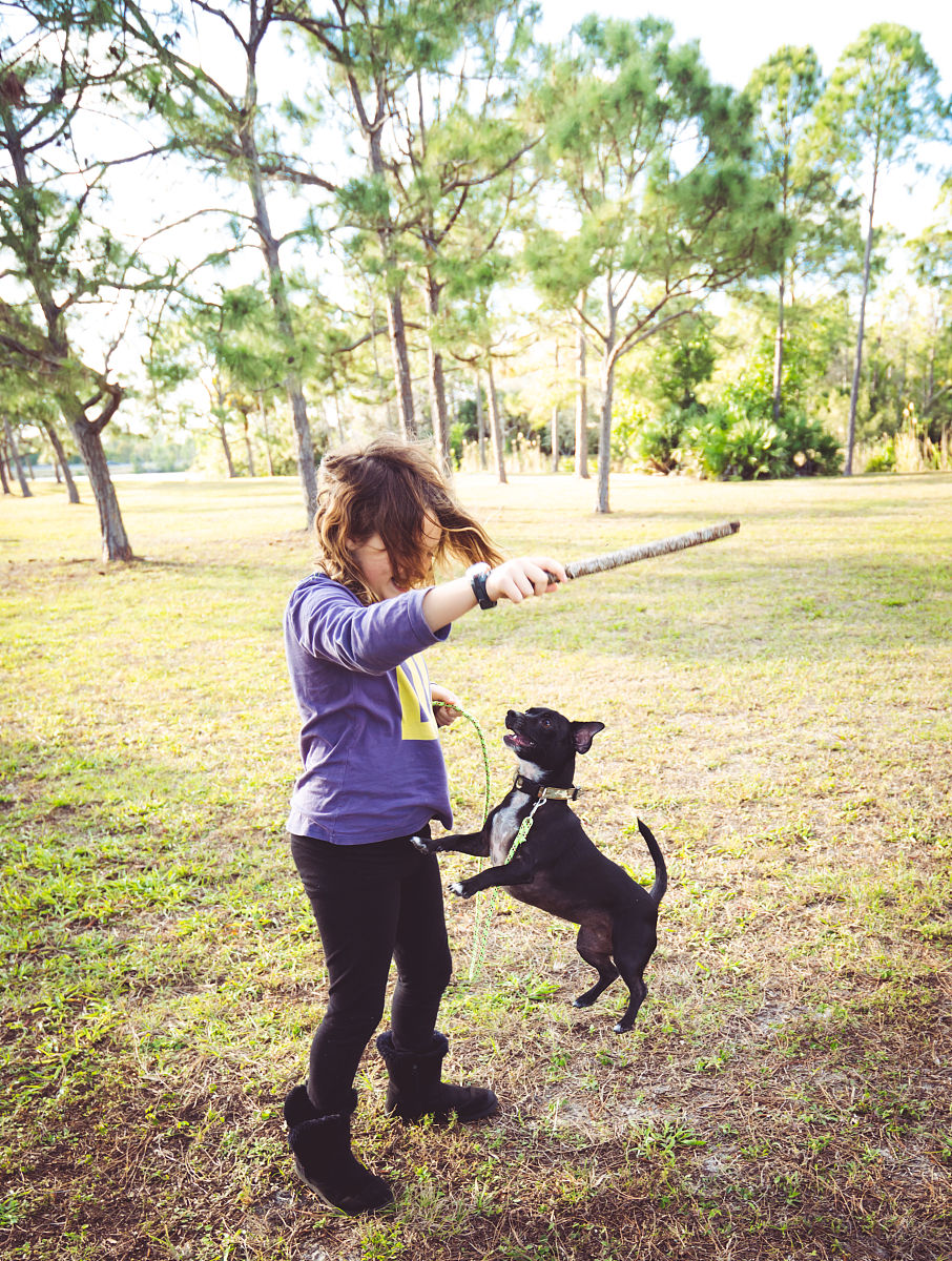 请以我和朵拉的那些事写一篇600字左右的记叙文