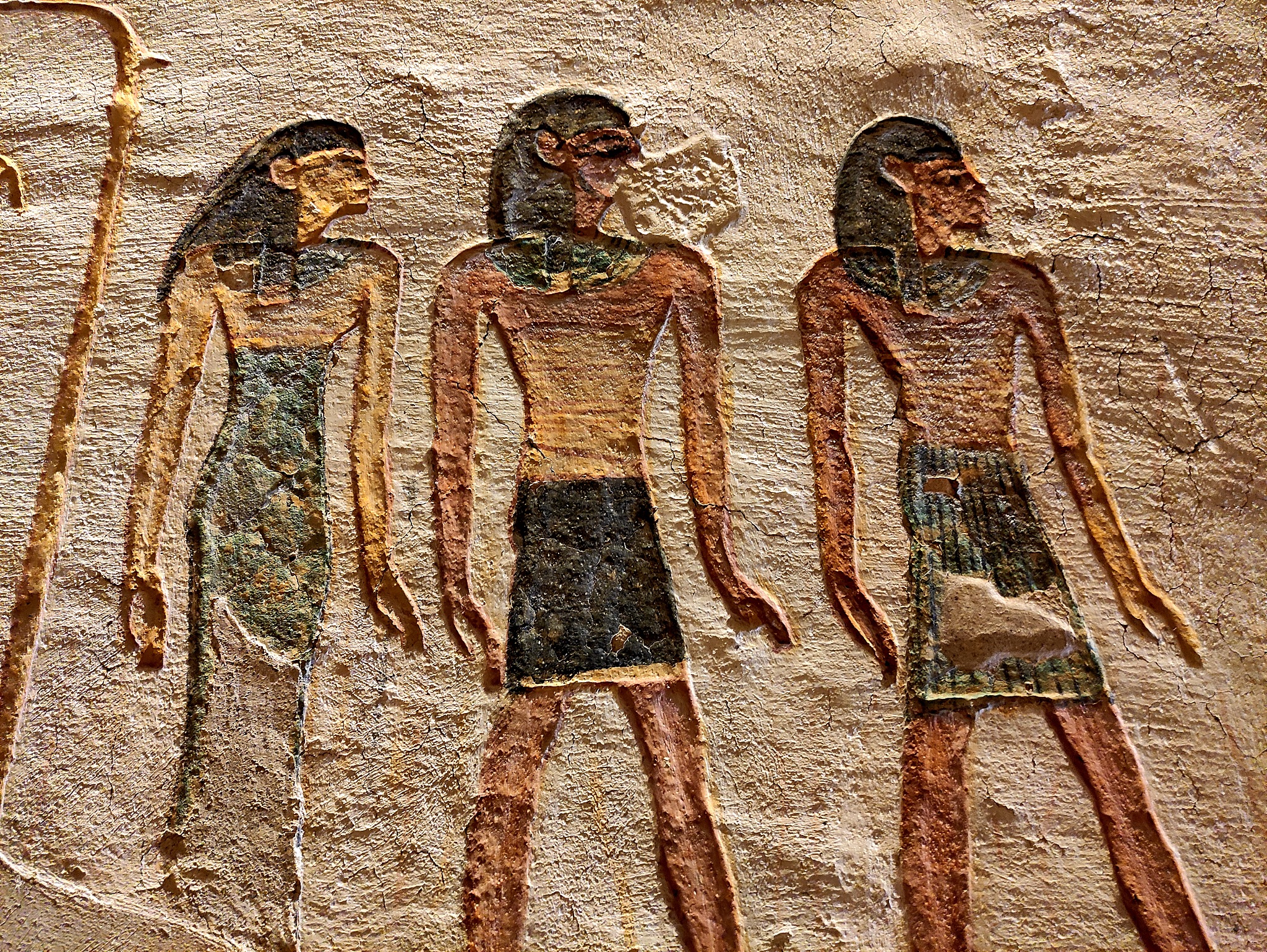 考古学与人类学科学期刊：研究、综述与最新进展