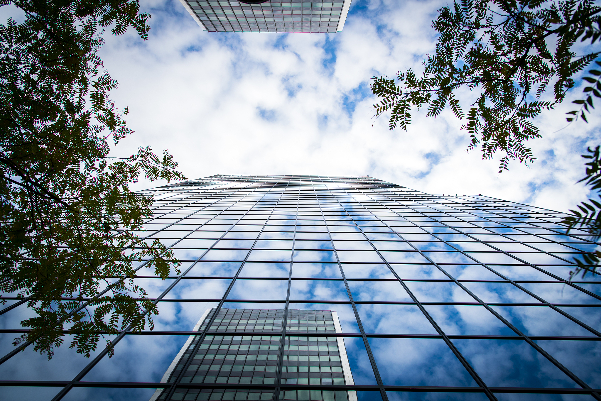 柳州城市职业学院汽车服务与管理专业怎么样