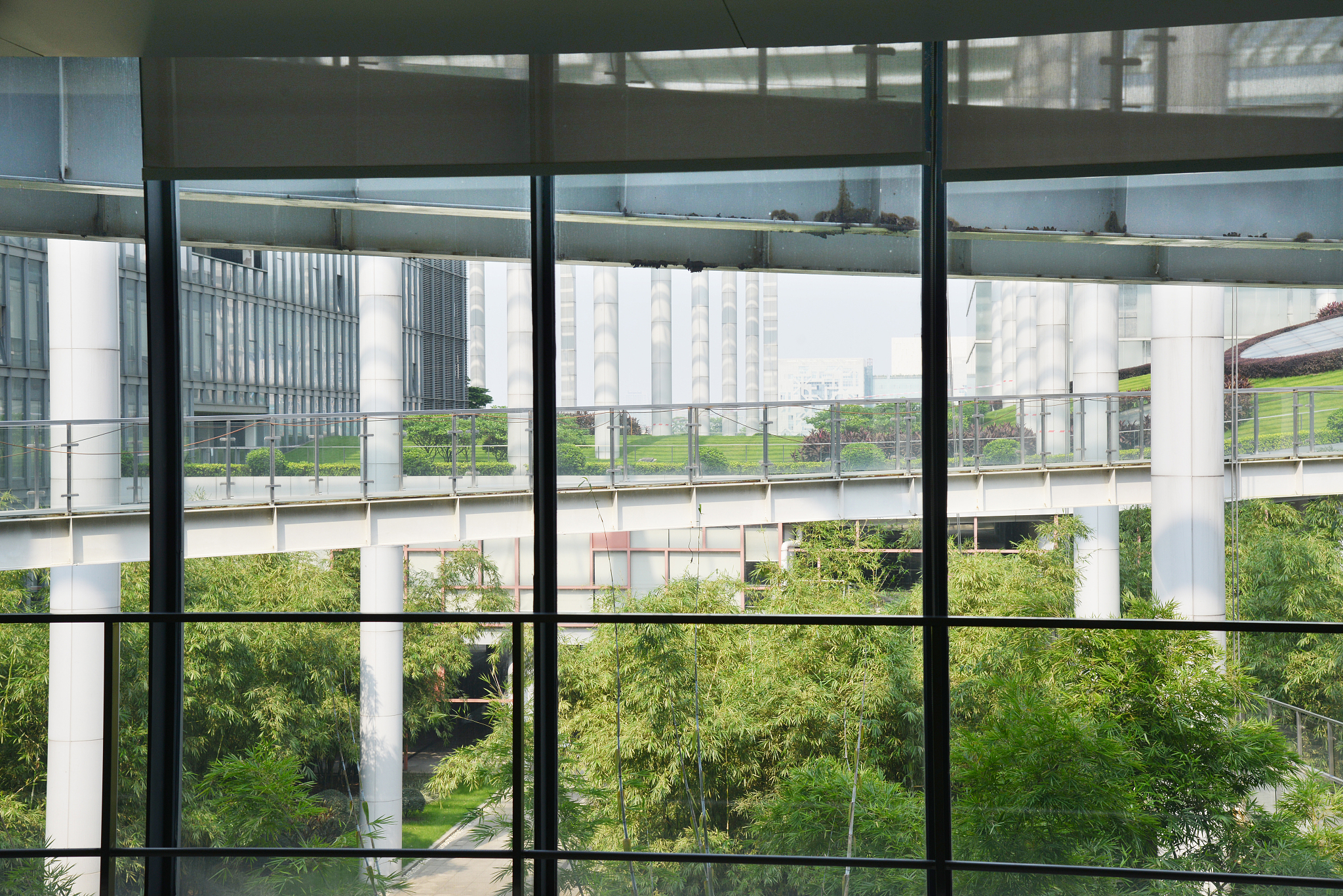 modern green office building