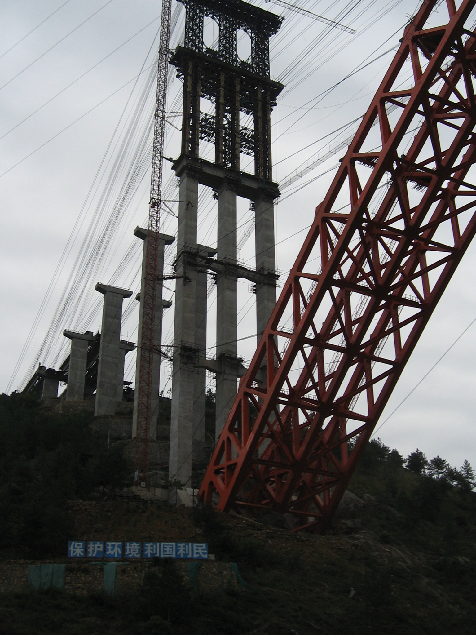 Spatiotemporal Dynamics of Phytoplankton in the Three Gorges Reservoir: Unveiling Environmental Drivers