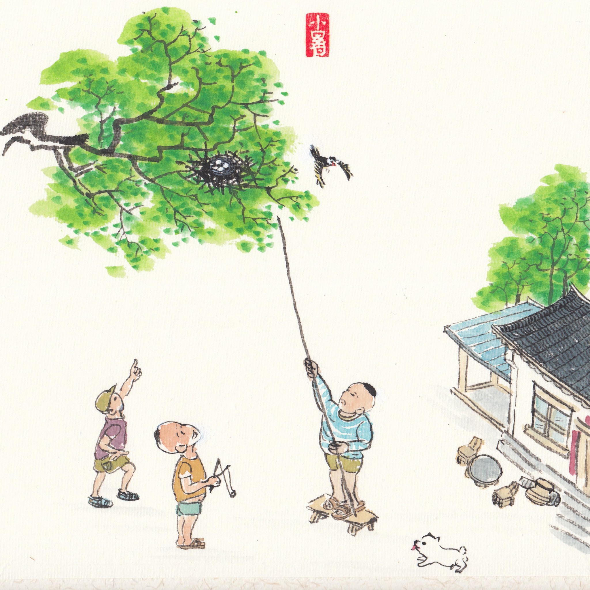 夏末蝉鸣：重拾童年的美好与自由