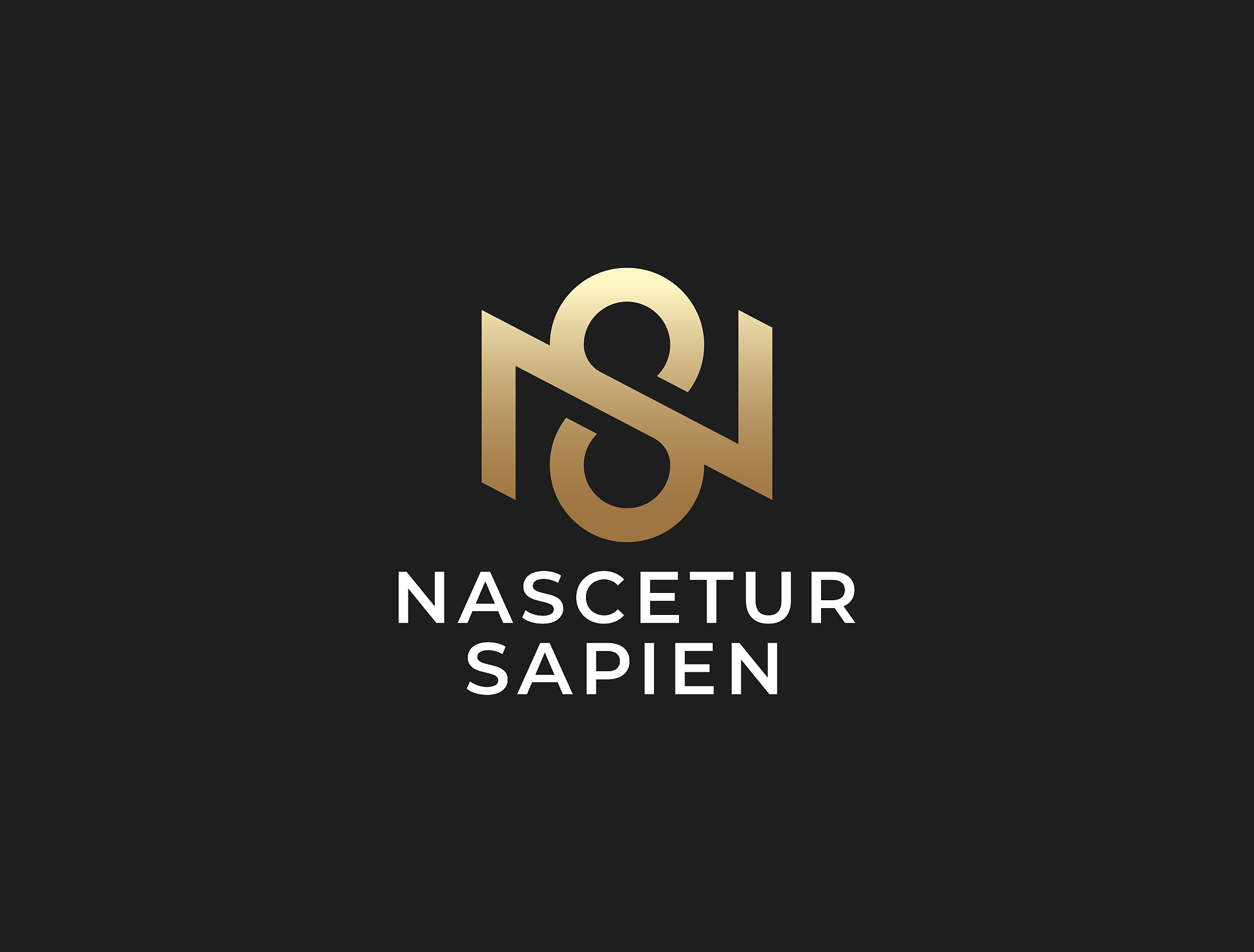 monogram of two letters ns or sn. vector template. s&n or n&s si