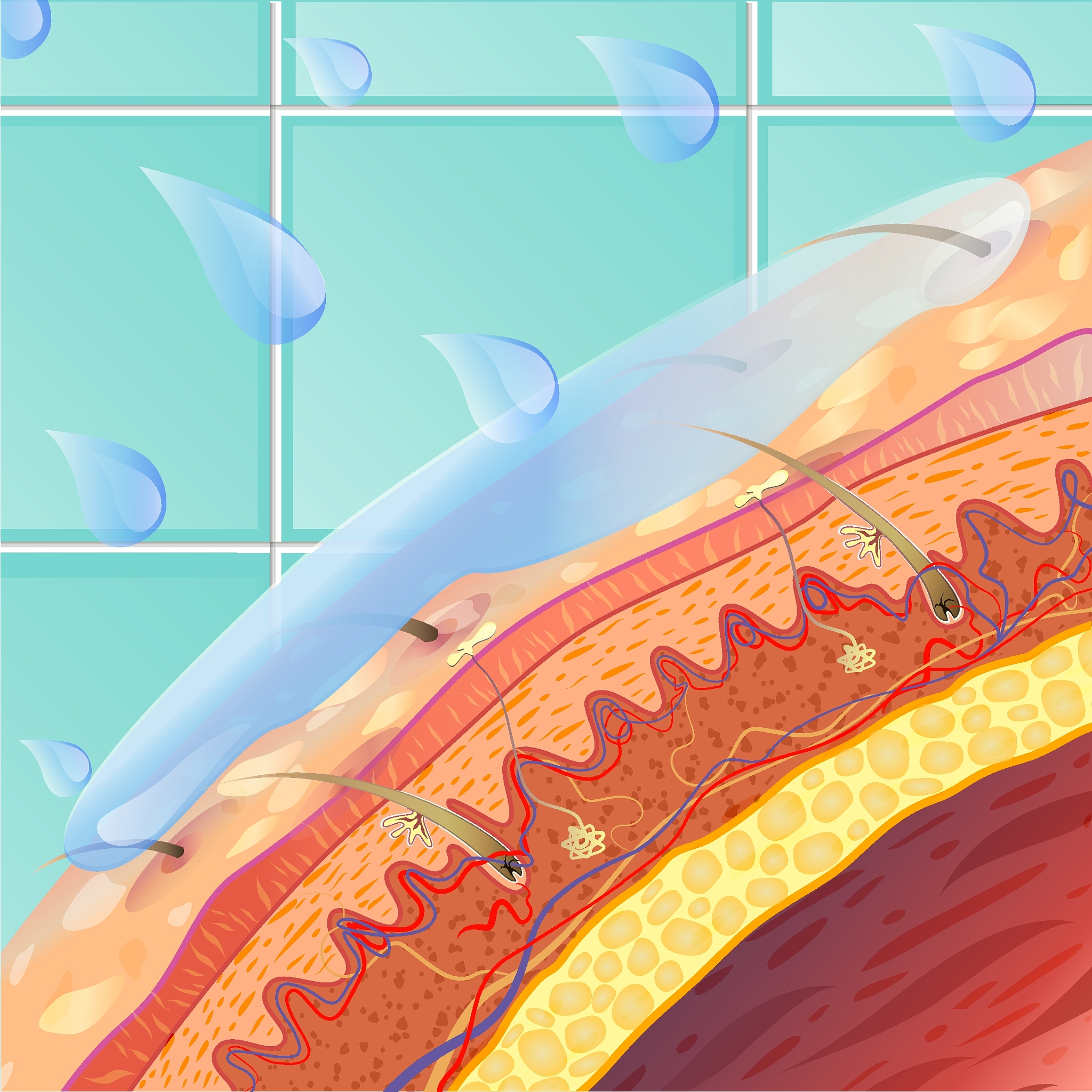 长期导管会有那些变化